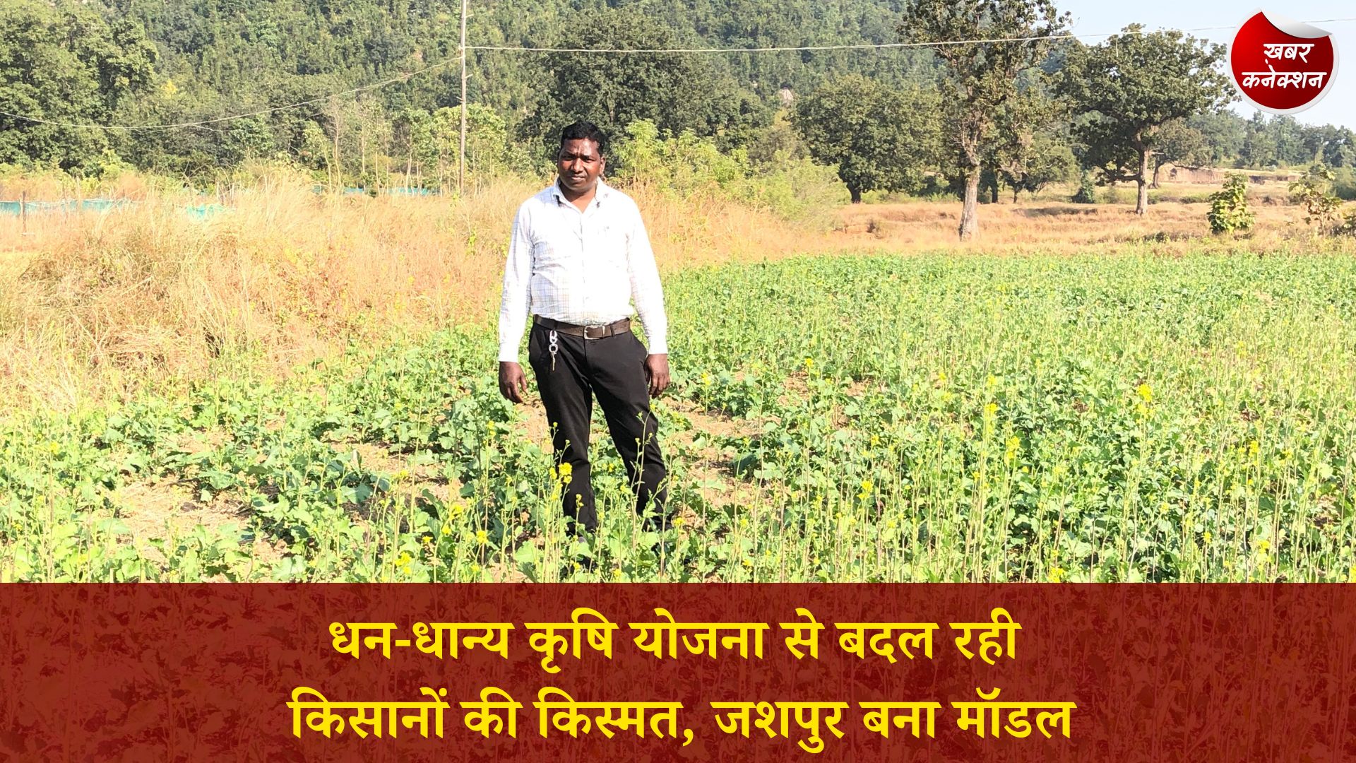 CG News: प्रधानमंत्री धन-धान्य कृषि योजना से जशपुर में कृषि क्रांति, किसान सुधीर लकड़ा बने प्रेरणा स्रोत