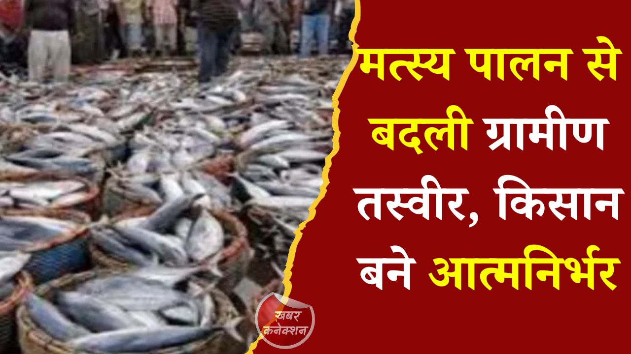 CG News: प्रधानमंत्री मत्स्य संपदा योजना से छत्तीसगढ़ में बढ़ा उत्पादन, जशपुर बना मत्स्य विकास का मॉडल जिला