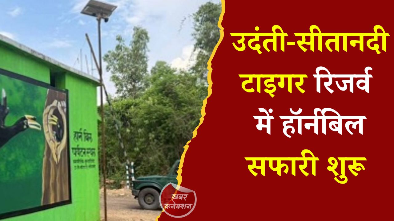 CG News: उदंती-सीतानदी में शुरू होगी हॉर्नबिल सफारी, वन्यजीव संरक्षण और रोजगार को नई उड़ान