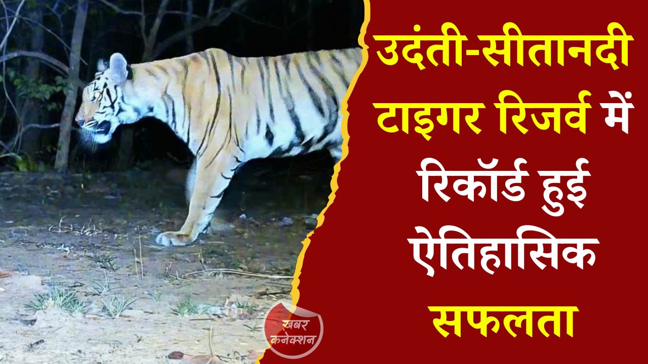 CG News: उदंती-सीतानदी में बाघिन की वापसी, कैमरा ट्रैप में दिखी, टाइगर रिजर्व को नई उम्मीद