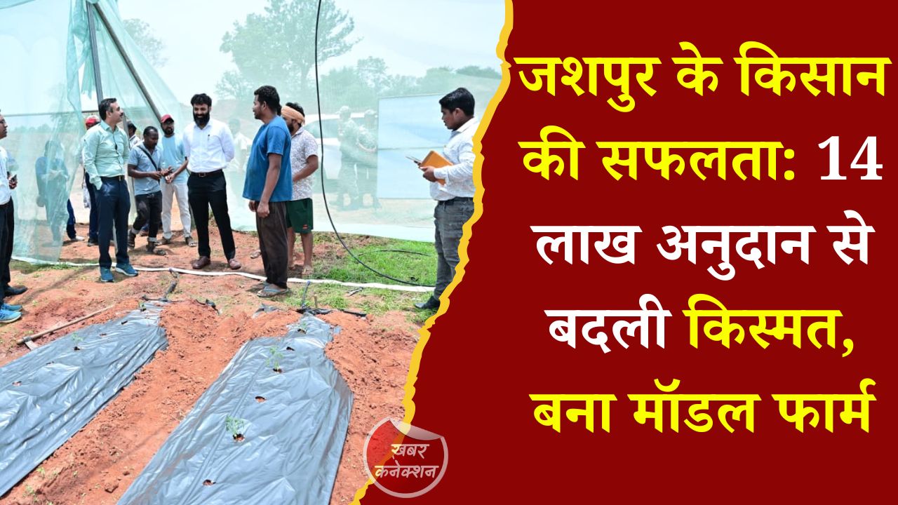 CG News: जशपुर में आधुनिक खेती का कमाल, किसान अनारथ साय ने अपनाई संरक्षित खेती और बढ़ाई आय