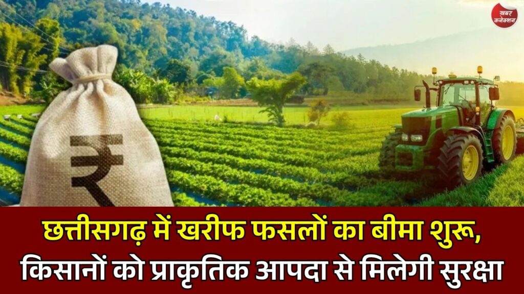 CG News: छत्तीसगढ़ के किसानों के लिए बड़ी खबर, 31 जुलाई तक कराएं फसल बीमा, नहीं तो छूट जाएगा मौका