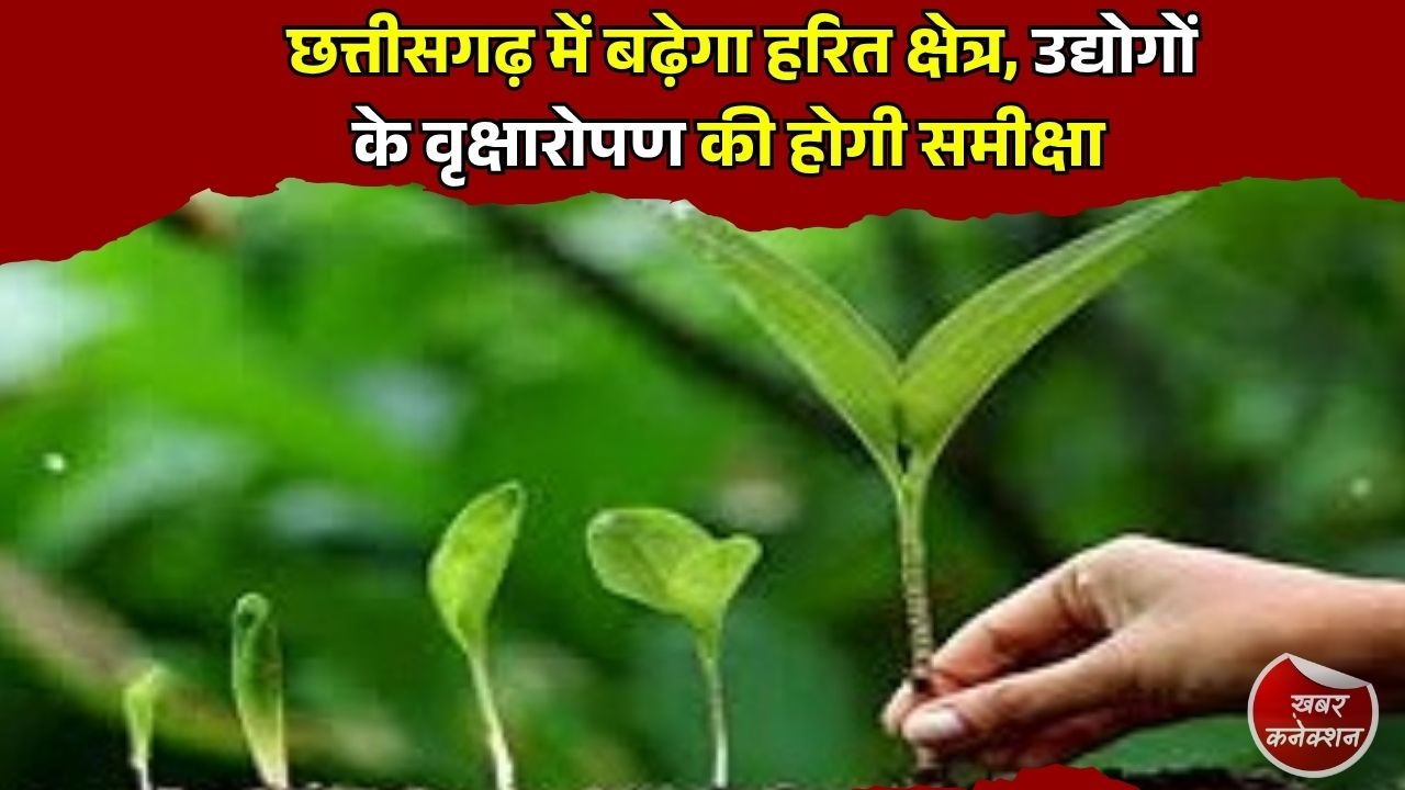 CG News: छत्तीसगढ़ में बढ़ेगा हरित क्षेत्र, 8 जुलाई को होगी बड़ी बैठक
