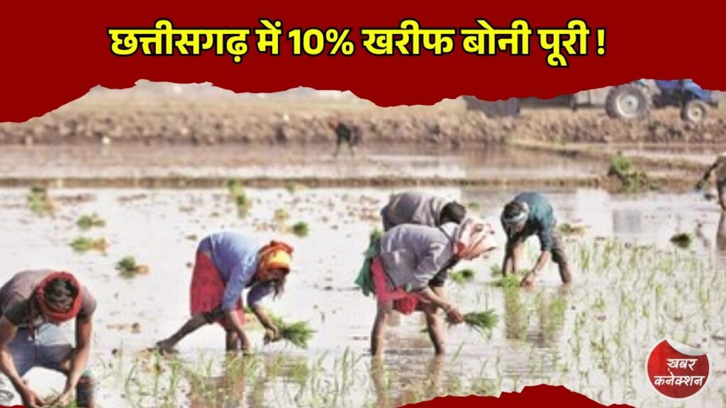 CG News: प्रदेश में मानसून के साथ खेती-किसानी तेज, खाद-बीज वितरण और बोनी में बढ़ी रफ्तार