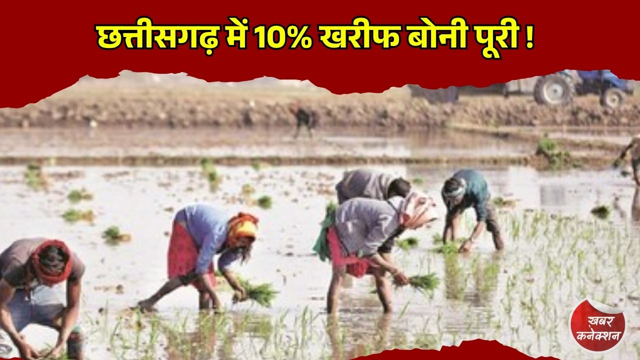 CG News: प्रदेश में मानसून के साथ खेती-किसानी तेज, खाद-बीज वितरण और बोनी में बढ़ी रफ्तार