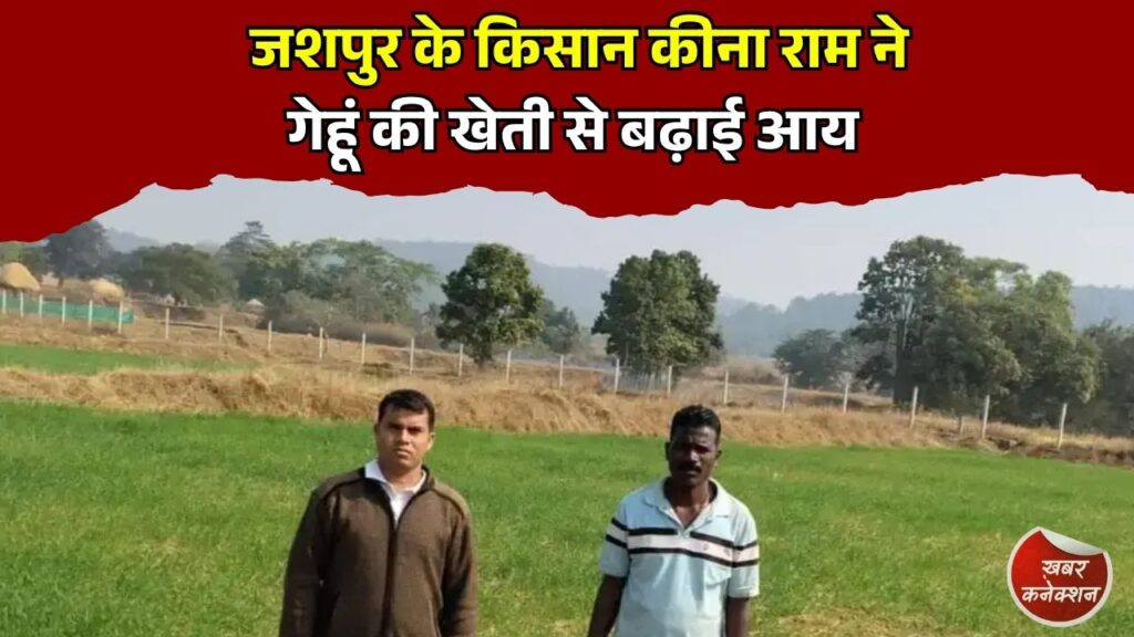 CG News: कम लागत में दोगुना फायदा, गेहूं की खेती से किसान की बढ़ी आमदनी