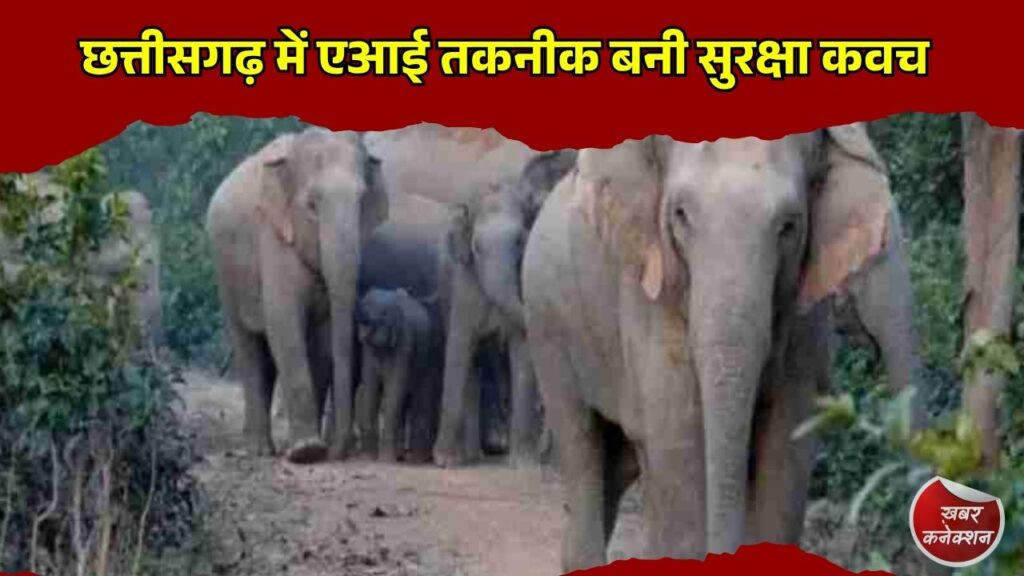 CG News: छत्तीसगढ़ में एआई तकनीक बनी सुरक्षा कवच, हाथी-मानव संघर्ष में आई बड़ी कमी