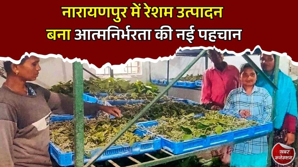 CG News: नारायणपुर में रेशम क्रांति, कोसापालन से ग्रामीणों की बढ़ी आय, महिलाओं को मिला रोजगार