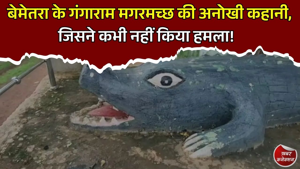 CG News: बेमेतरा के गंगाराम मगरमच्छ की अनोखी कहानी, इंसानों और वन्यजीवों के सह-अस्तित्व की बनी मिसाल
