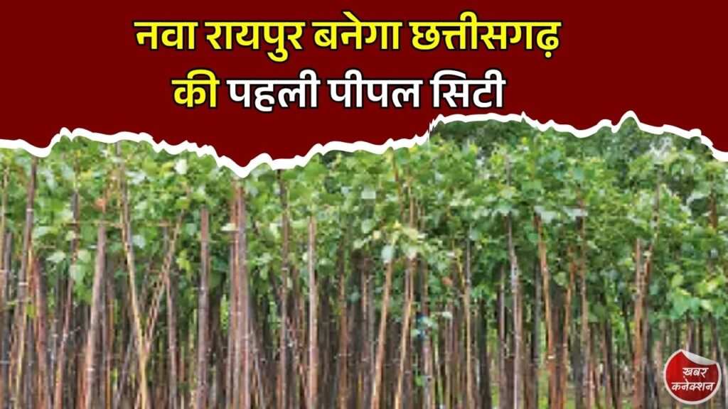 CG News: नवा रायपुर में बनेगी प्रदेश की पहली पीपल सिटी, 5 साल में लगाए जाएंगे 1.25 लाख पौधे