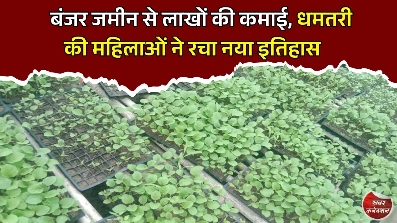 CG News: धमतरी में औषधीय खेती से बदली महिलाओं की तकदीर, बंजर जमीन बन रही लाखों की कमाई का जरिया