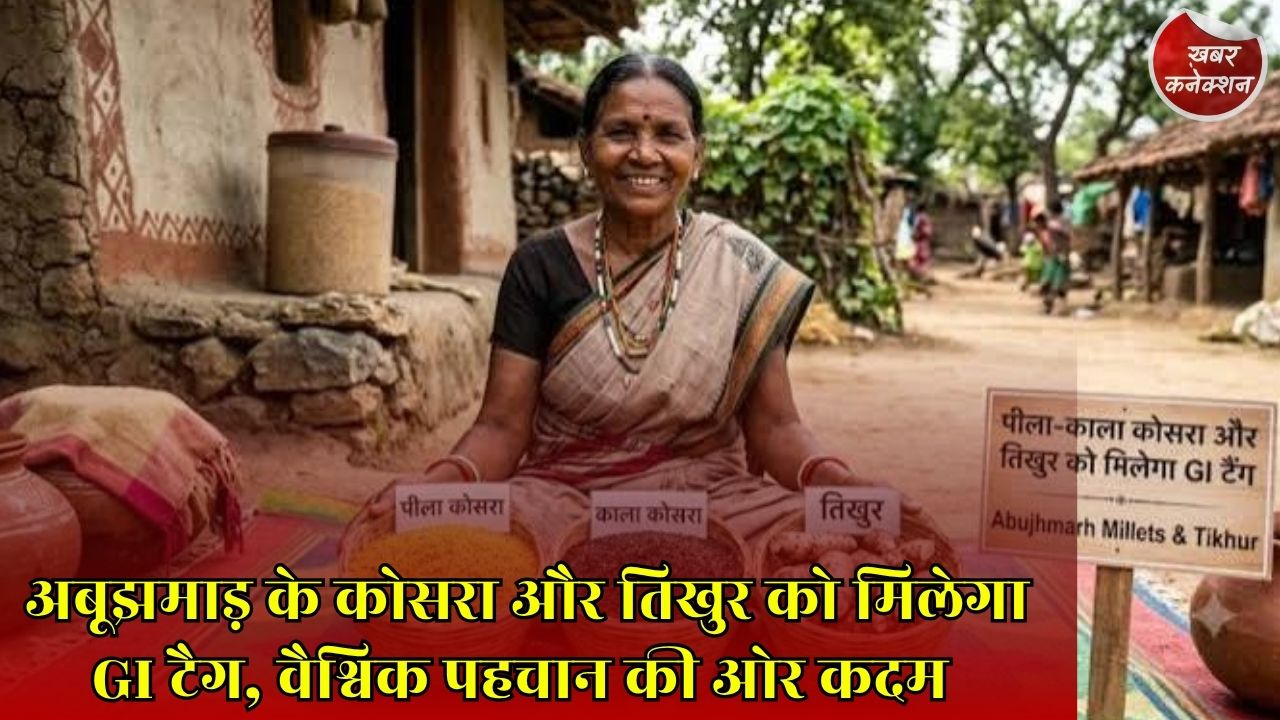 CG News: अबूझमाड़ की पारंपरिक फसलों को मिलेगी नई पहचान, पीला कोसरा, काला कोसरा और तिखुर के GI टैग की प्रक्रिया शुरू