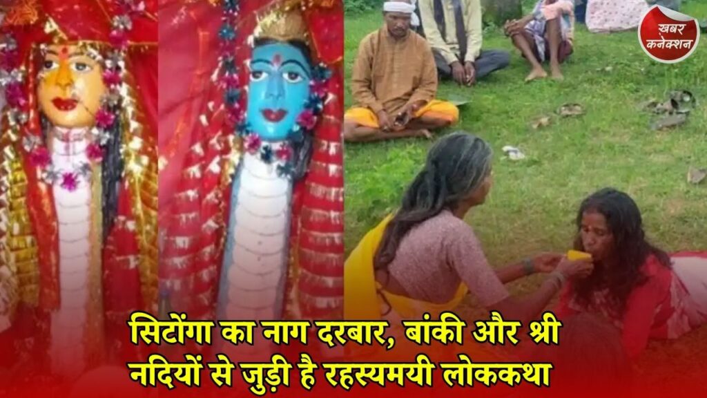 CG News: जशपुर का अनोखा नाग दरबार, नागपंचमी पर भक्तों पर सवार होते हैं नागदेव!