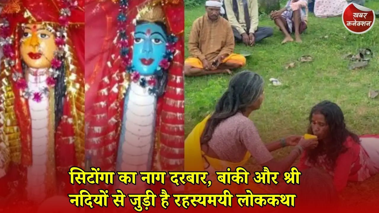 CG News: जशपुर का अनोखा नाग दरबार, नागपंचमी पर भक्तों पर सवार होते हैं नागदेव!