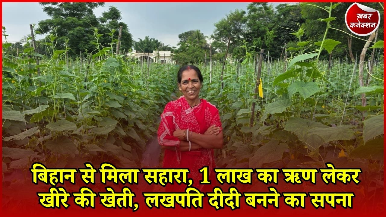 CG News: अंबिकापुर की सुभद्रा मंडल ने शुरू की खीरे की खेती, बिहान से मिली आर्थिक मदद बनी आत्मनिर्भरता की राह