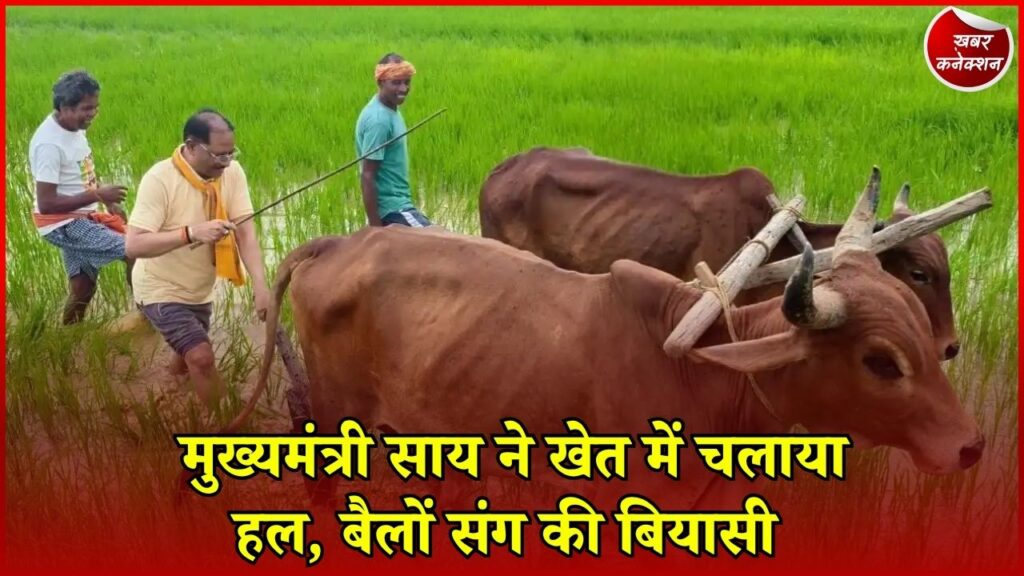 CG News: गृहग्राम बगिया में किसान बने मुख्यमंत्री साय, बैलों के साथ खेत में चलाया हल