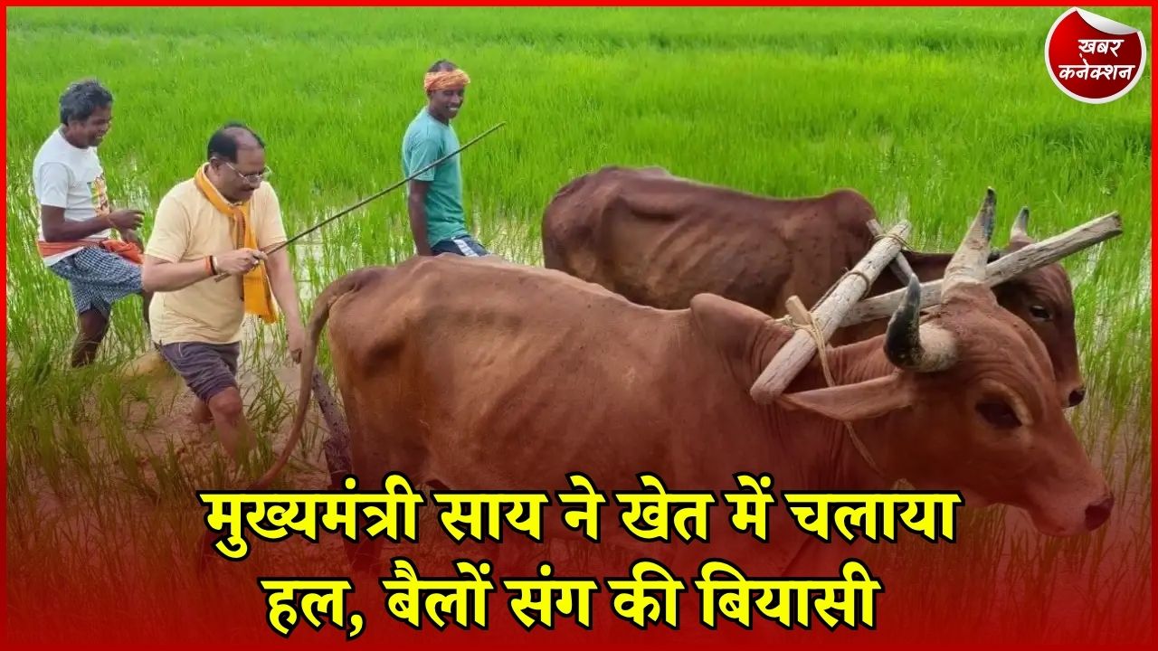 CG News: गृहग्राम बगिया में किसान बने मुख्यमंत्री साय, बैलों के साथ खेत में चलाया हल
