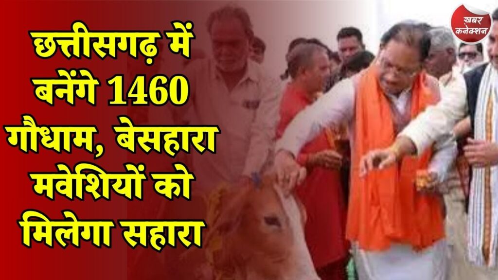 CG News: गौधाम योजना से बदलेगी तस्वीर, सड़क पर घूमने वाले पशुओं की समस्या होगी कम