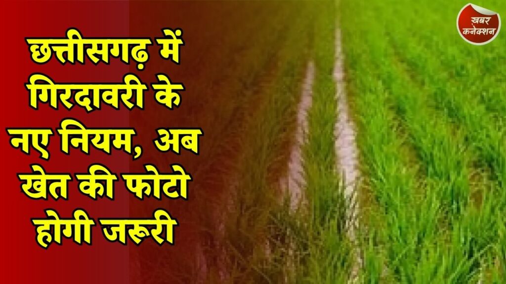 CG News: डिजिटल हुई गिरदावरी प्रक्रिया, छत्तीसगढ़ सरकार ने लागू किए सख्त नियम