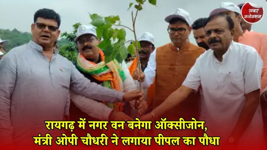 CG News: रायगढ़ के नगर वन को मिलेगी नई पहचान, एक साल में ऑक्सीजोन और इको टूरिज्म के रूप में होगा विकास