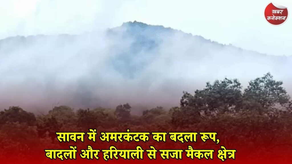 CG News: गौरेला-पेंड्रा-मरवाही से अमरकंटक तक प्रकृति का अद्भुत नजारा, झरनों ने पकड़ी रफ्तार