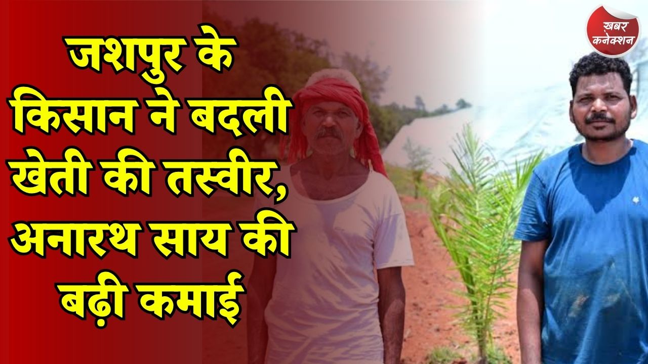 CG News: शेडनेट से ऑयल पाम तक, जशपुर के किसान अनारथ साय ने अपनाई आधुनिक खेती की राह