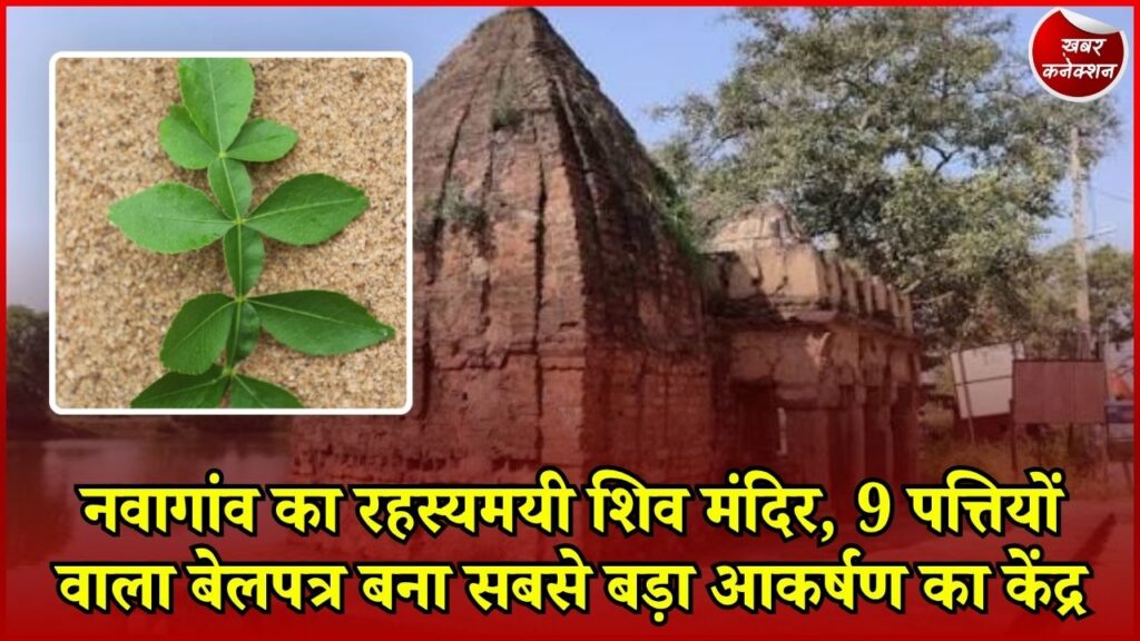 CG News: आरंग के नवागांव में 500 साल पुराना शिव मंदिर, दुर्लभ प्रतिमाओं और नौ पत्तियों वाले बेल वृक्ष का रहस्य