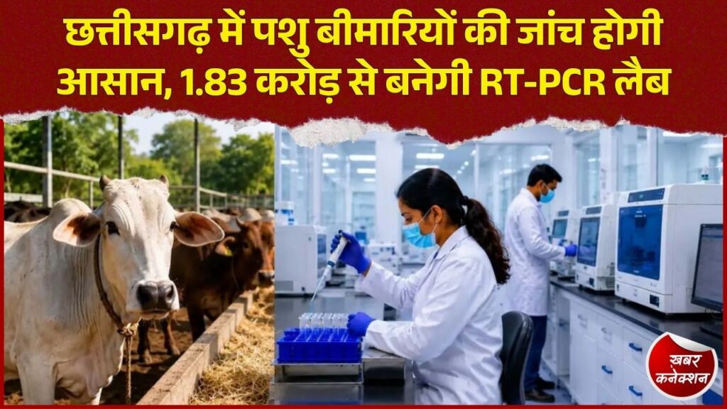 CG News: रायपुर में बनेगी अत्याधुनिक RT-PCR लैब, लंपी और बर्ड फ्लू की होगी सटीक जांच