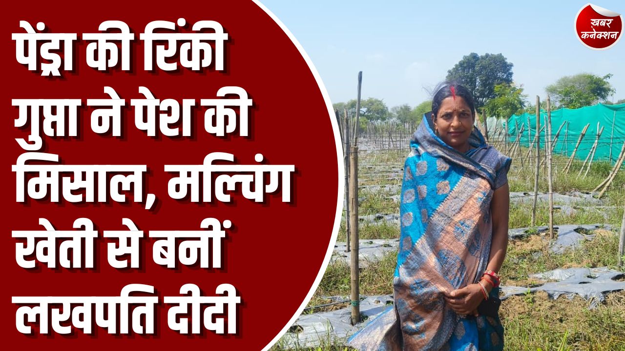 Success Story: आधुनिक कृषि तकनीक और 'बिहान' योजना का कमाल, टमाटर और पत्ता गोभी की खेती से बदली तकदीर