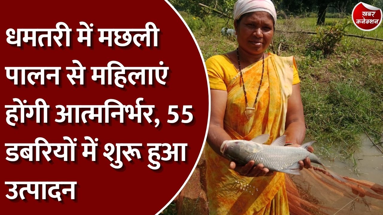 CG News: छत्तीसगढ़ में आजीविका डबरियों से महिलाओं की बढ़ेगी कमाई, धमतरी में झींगा और मछली पालन को बढ़ावा