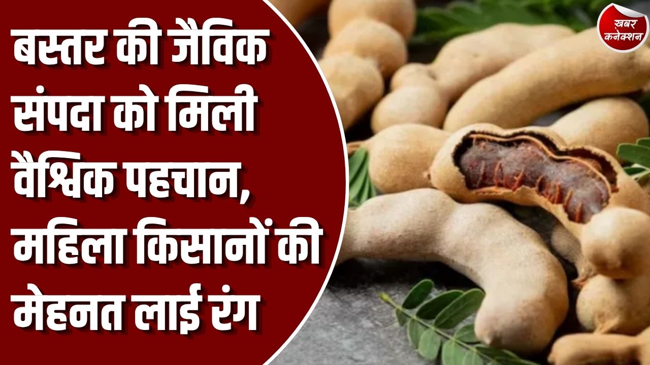 Bastar News: बस्तर की जनजातीय महिलाओं की बड़ी सफलता, मां दंतेश्वरी महिला किसान कंपनी को मिला ऑर्गेनिक सर्टिफिकेट