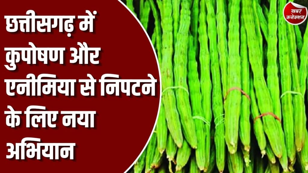 CG News: छत्तीसगढ़ में कुपोषण और एनीमिया से निपटने की तैयारी, साय सरकार शुरू करेगी 'हर-घर मुनगा' अभियान