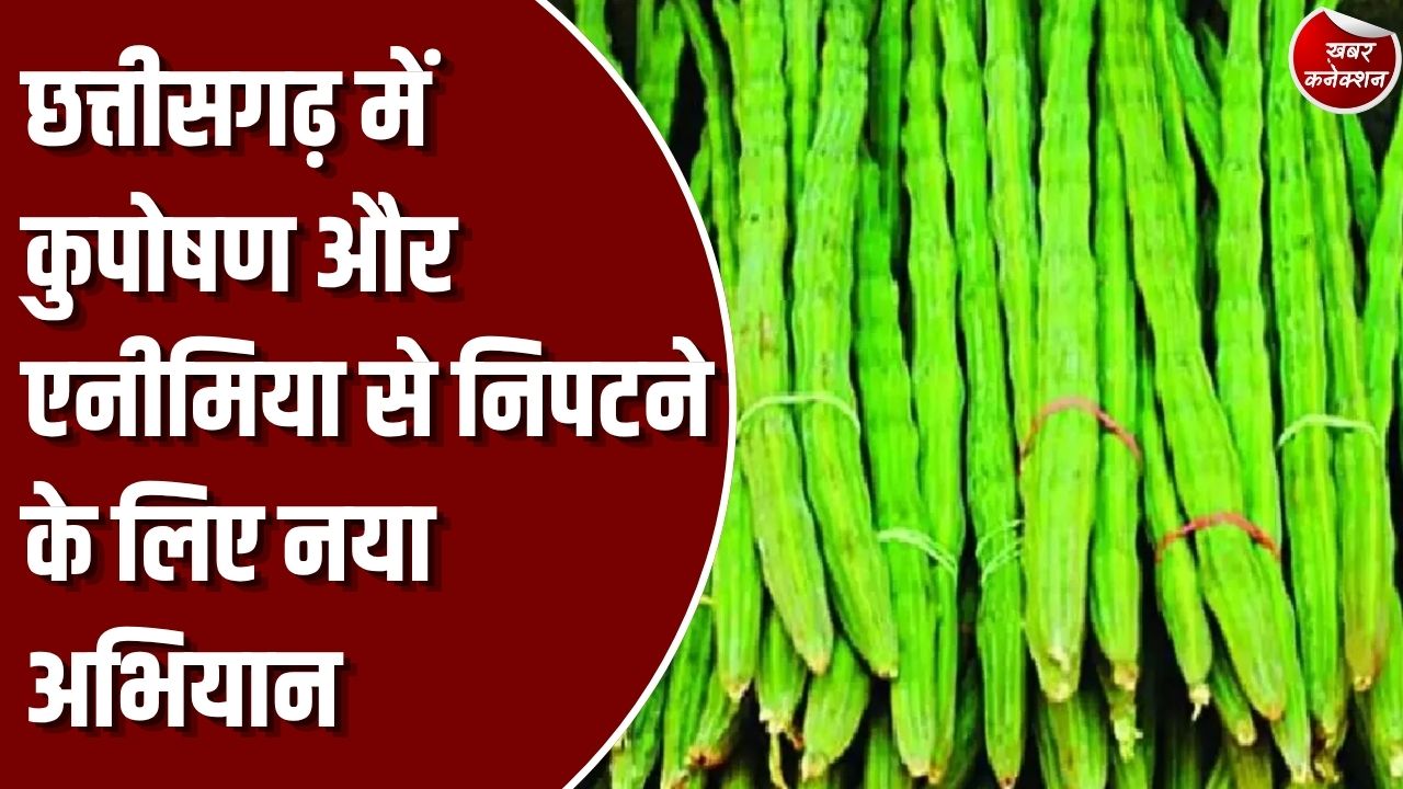 CG News: छत्तीसगढ़ में कुपोषण और एनीमिया से निपटने की तैयारी, साय सरकार शुरू करेगी 'हर-घर मुनगा' अभियान