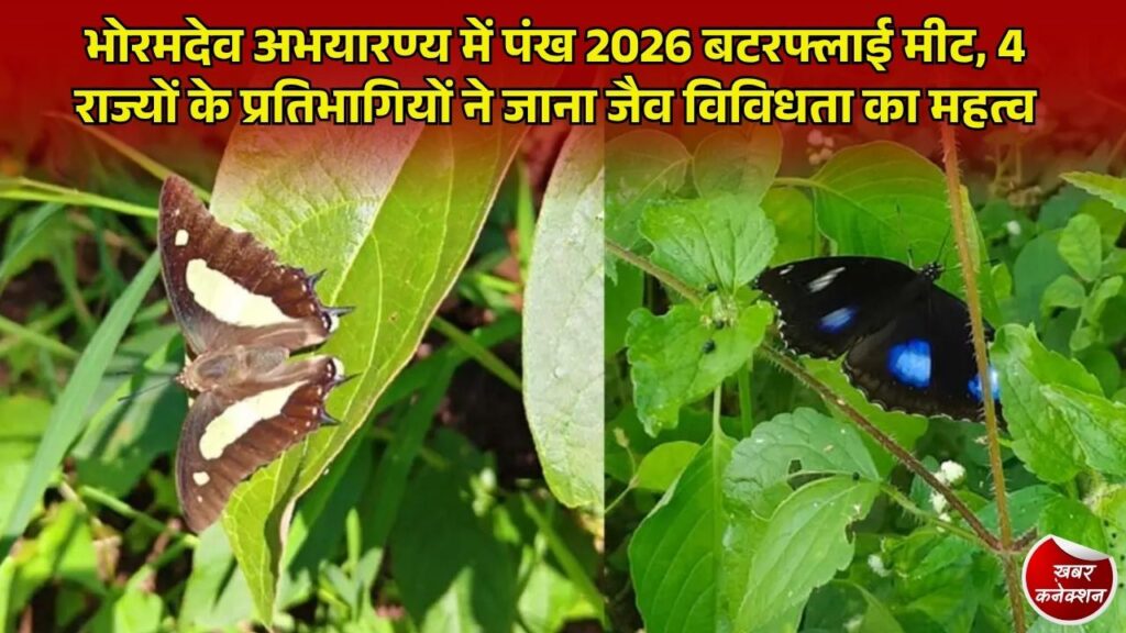 CG News: भोरमदेव अभयारण्य में 'पंख 2026 बटरफ्लाई मीट सीजन-3' का प्रथम चरण संपन्न, 4 राज्यों के 20 प्रतिभागियों ने लिया हिस्सा