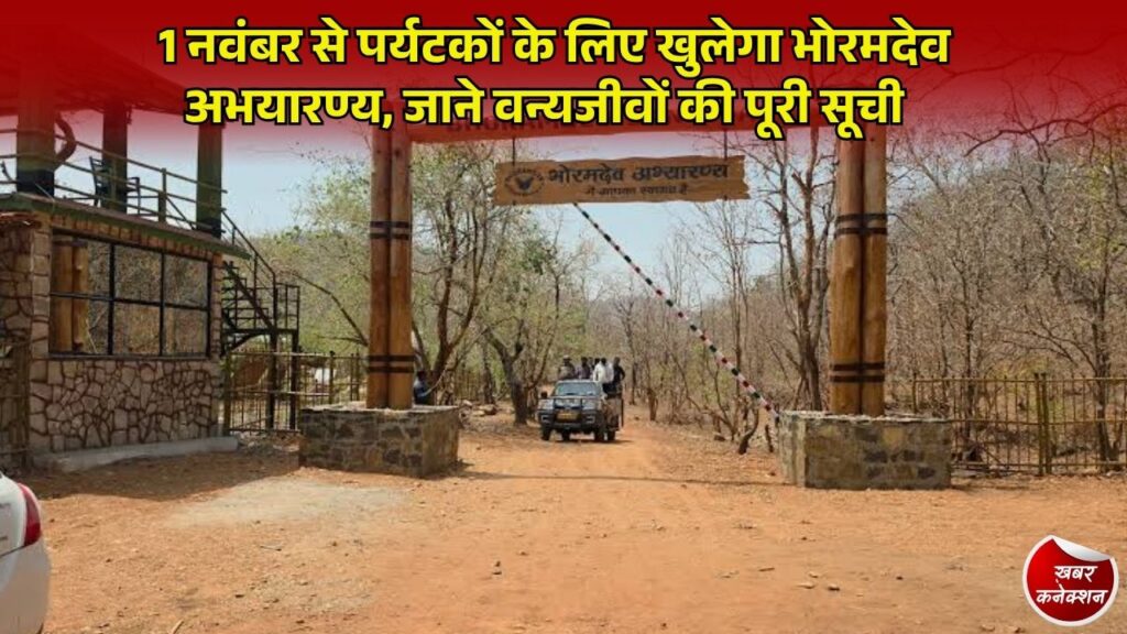 CG News: 1 नवंबर से खुलेगा भोरमदेव अभयारण्य, जिप्सी सफारी, शेर और 100 से ज्यादा बाइसन बनेंगे आकर्षण का केंद्र