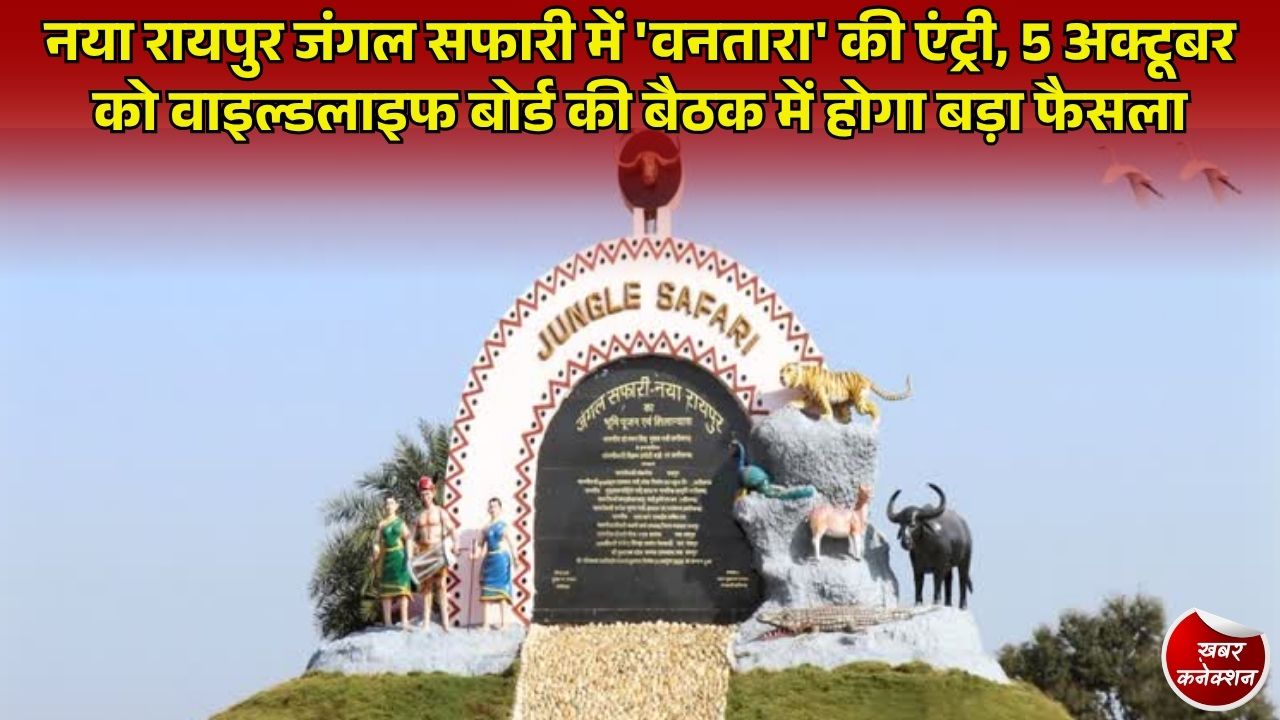 CG News: मानव निर्मित सबसे बड़े जंगल सफारी के विकास को मिलेगी नई रफ्तार, गुजरात के 'वनतारा' के साथ तकनीकी साझेदारी की तैयारी