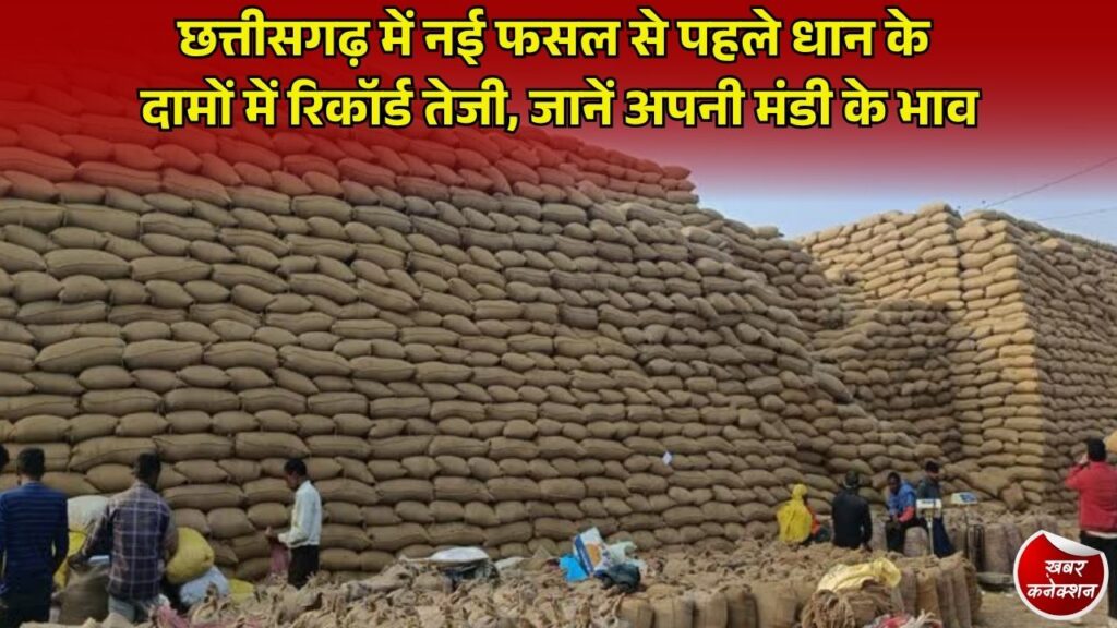 CG News: छत्तीसगढ़ में धान की कीमतों में उछाल, महामाया और ओम-3 के दाम ₹3600 के पार