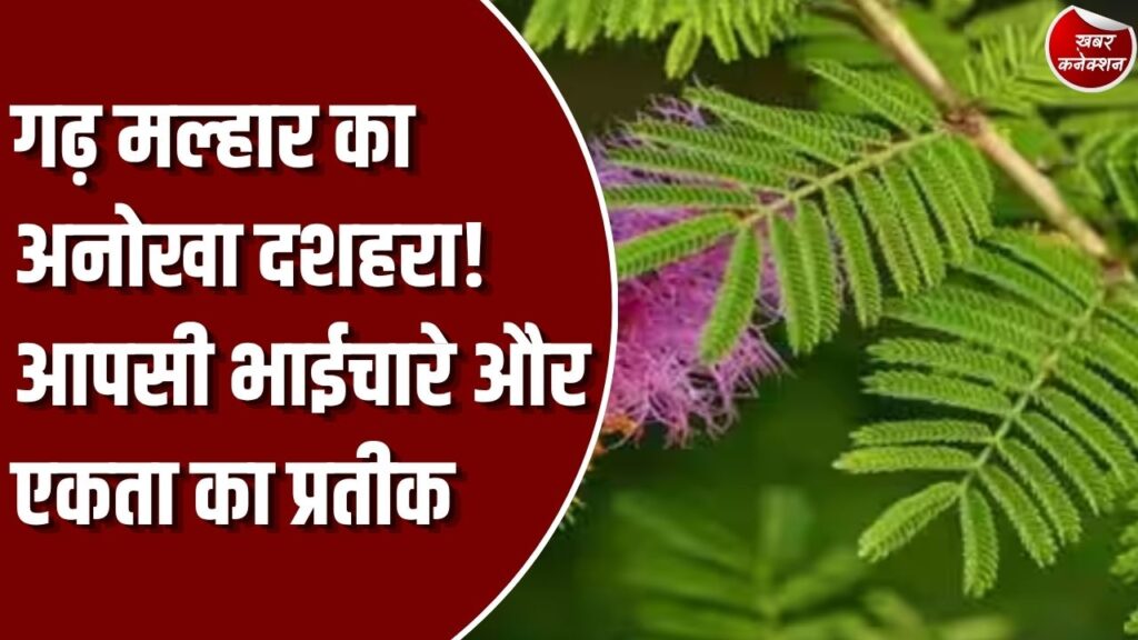 Special Story: छत्तीसगढ़ के ऐतिहासिक गढ़ मल्हार में 75 साल पुरानी अनूठी परंपरा, रावण दहन के बाद सोनपत्र देकर गले मिलकर दूर की जाती हैं पुरानी रंजिशें